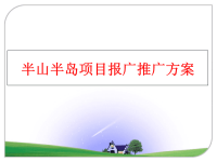 最新半山半岛项目报广推广方案精品课件
