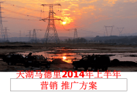 最新天湖马德里上半年营销 推广方案ppt课件