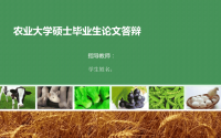 高端毕业论文PPT答辩 (118)