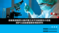 高端毕业论文PPT答辩 (170)
