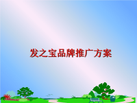 最新发之宝品牌推广方案幻灯片