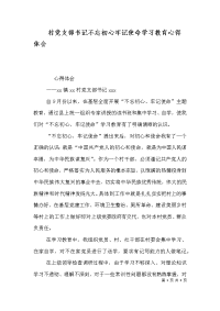 村党支部书记不忘初心牢记使命学习教育心得体会