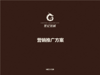 2013年湖北世纪龙城洋房住区项目营销推广方案