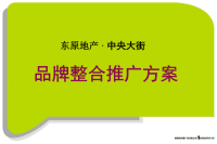 东原地产重庆中央大街品牌整合推广方案