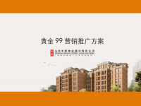 中原济南黄金99营销推广方案