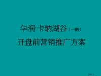 华润置地宁波卡纳湖谷别墅开盘前营销推广方案