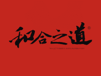 宁波天泽项目整合推广方案