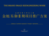 宁波金地东御二期项目推广方案