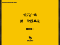 成都银石广场项目整合推广方案