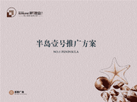 美联海南海口半岛一号房地产项目推广方案