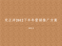 长沙定江洋2012下半年营销推广方案