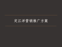 长沙定江洋营销推广方案