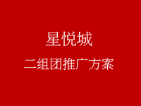非常道武汉星悦城二组团推广方案
