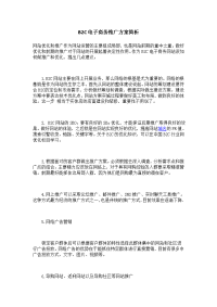 b2c电子商务推广方案简析