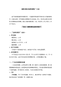 开盘期推广方案