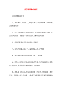 关于感恩励志名言x