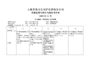 上海市电力公司沪东供电分公司质量监督专职行为规范考评表