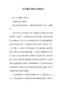 安全警示教育心得体会