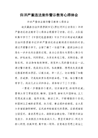 许泮严重违法案件警示教育心得体会