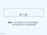 肺气肿课件PPT医学课件