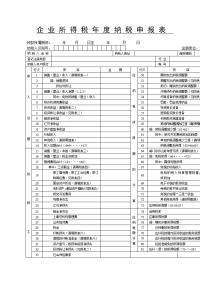 企业所得税年度纳税申报表(doc 2)